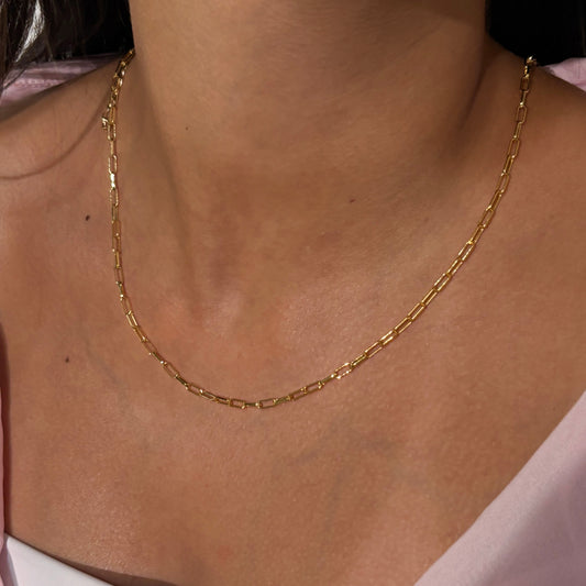 Dainty clips necklace