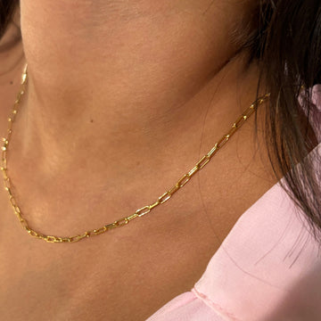 Dainty clips necklace