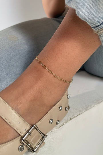 Dainty Clips Anklet