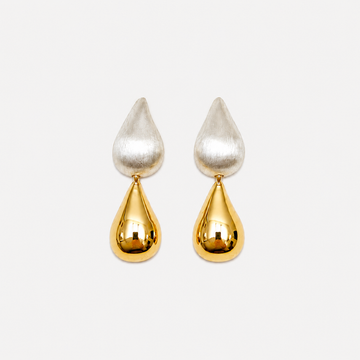 Silver in Gold Earrings