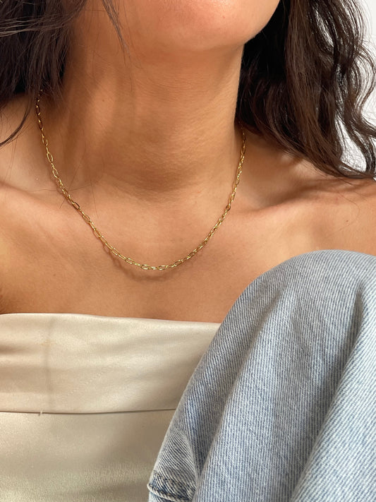 Dainty clips necklace