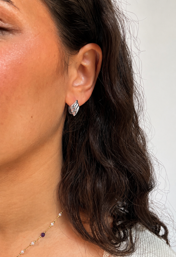 Angle Wings Earrings in Silver
