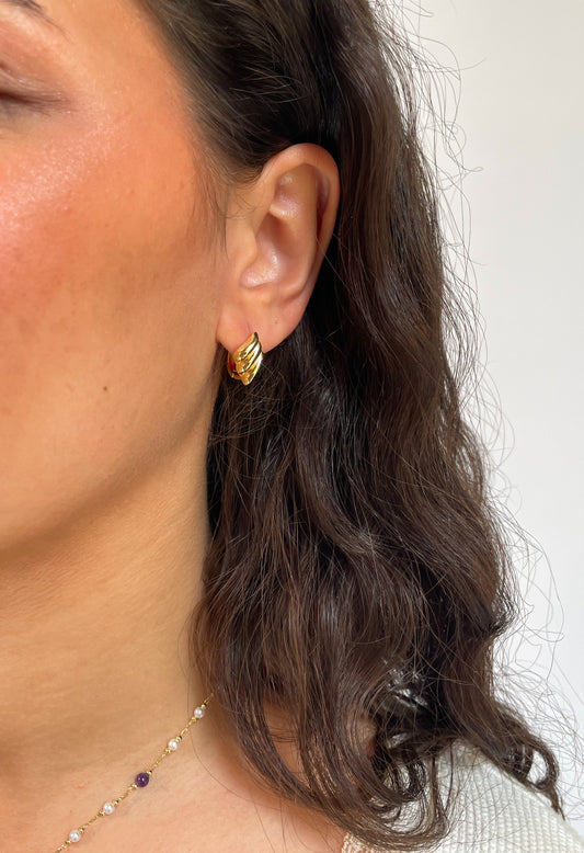 Angle Wings Earrings