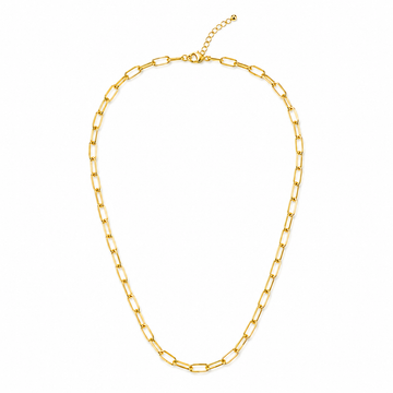 Dainty clips necklace