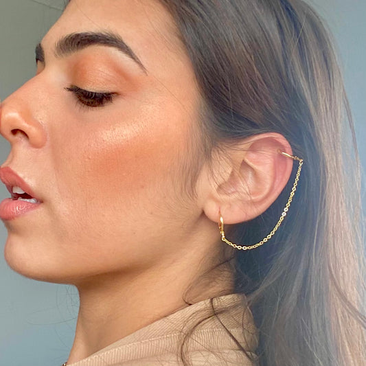 Double Hoops Earring